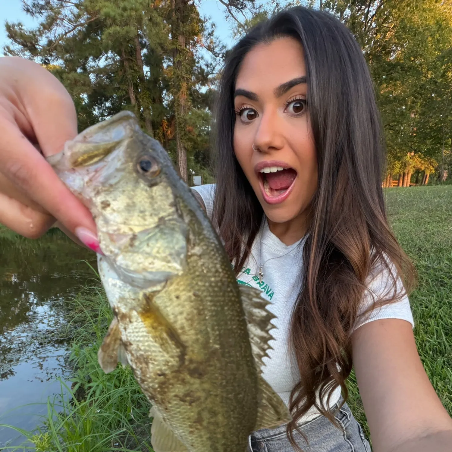 Largemouth bass caught on Fishbrain