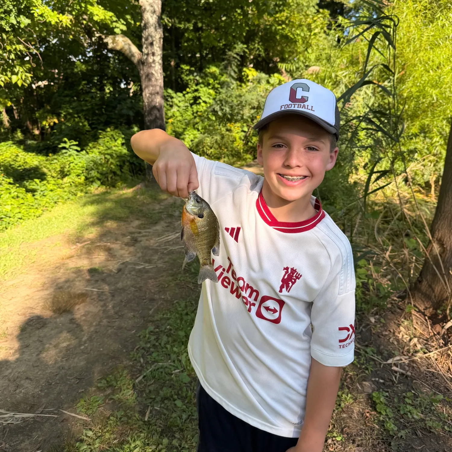 Bluegill caught on Fishbrain