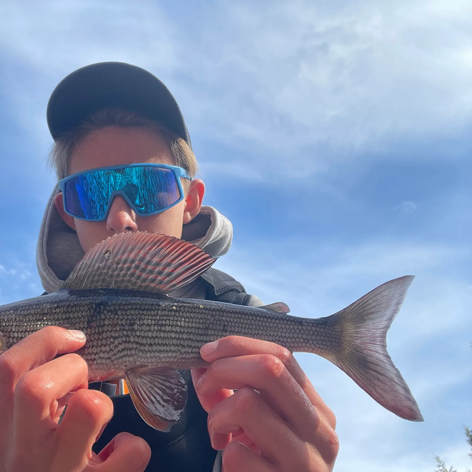 European grayling caught on Fishbrain