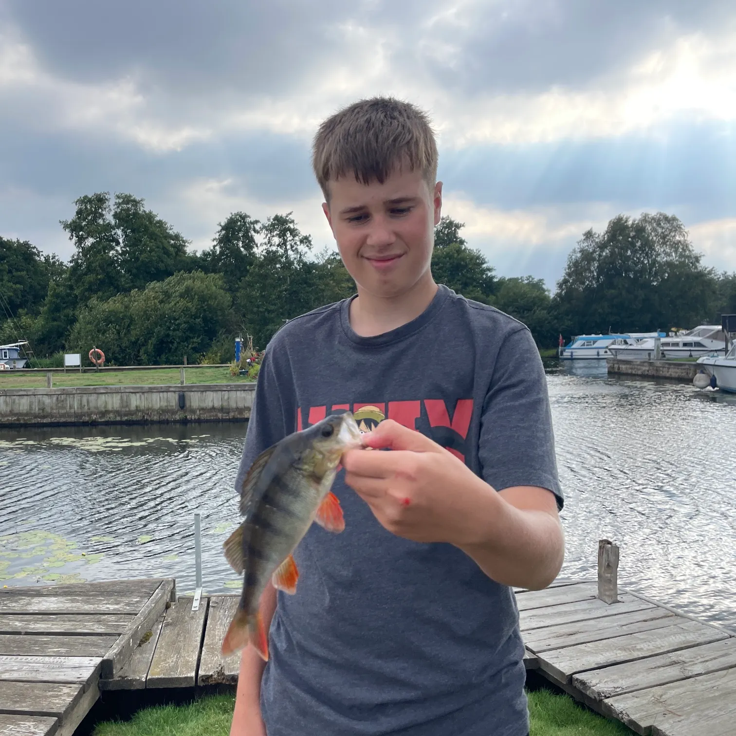 European perch caught on Fishbrain