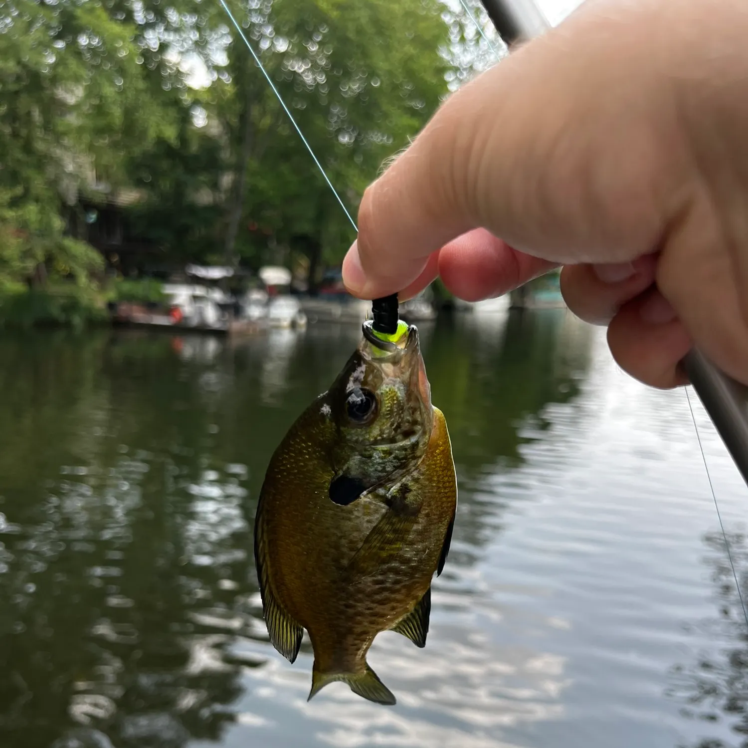 catch