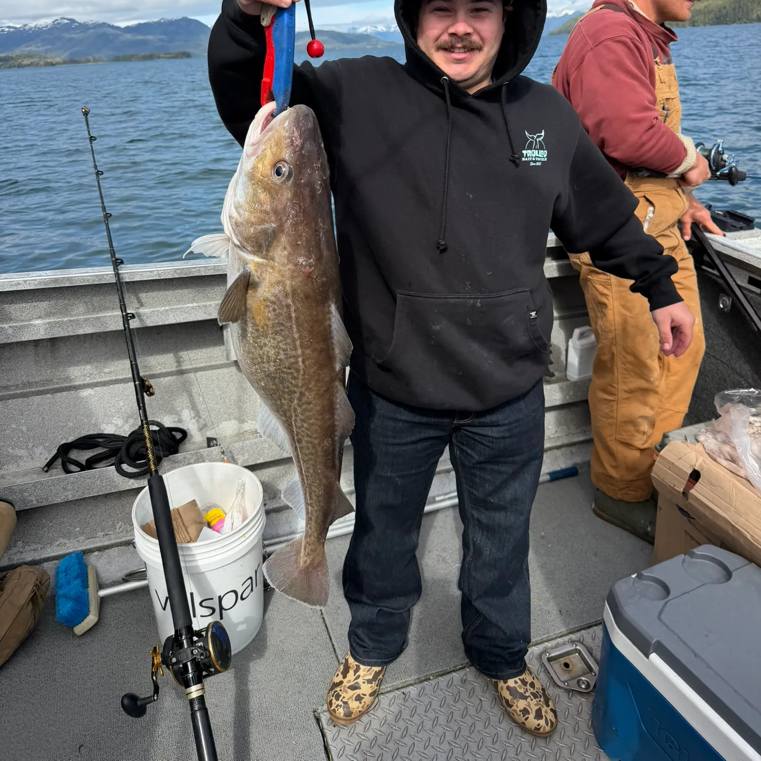 The most recent Pacific cod catches on Fishbrain