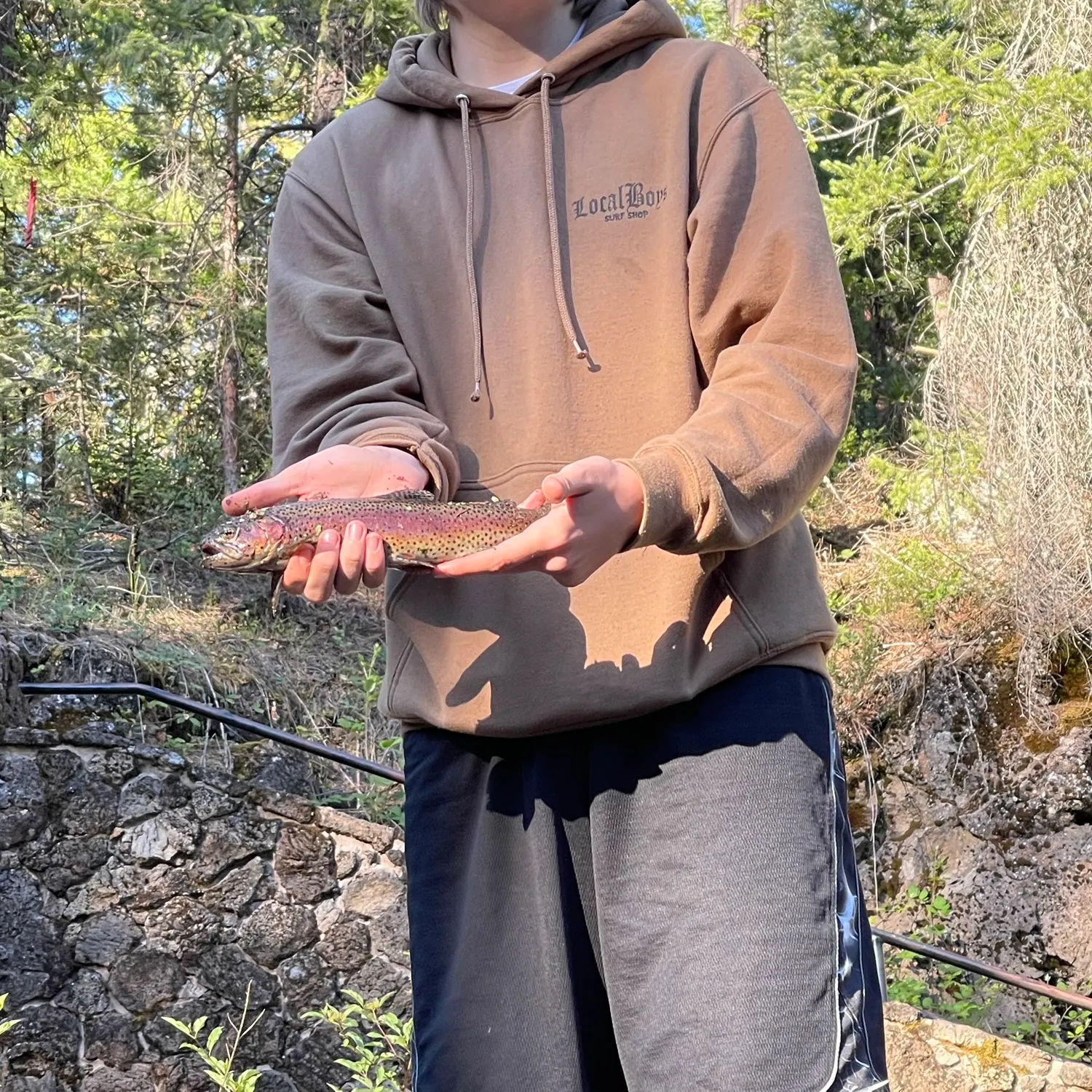 The most recent McCloud river redband trout catches on Fishbrain