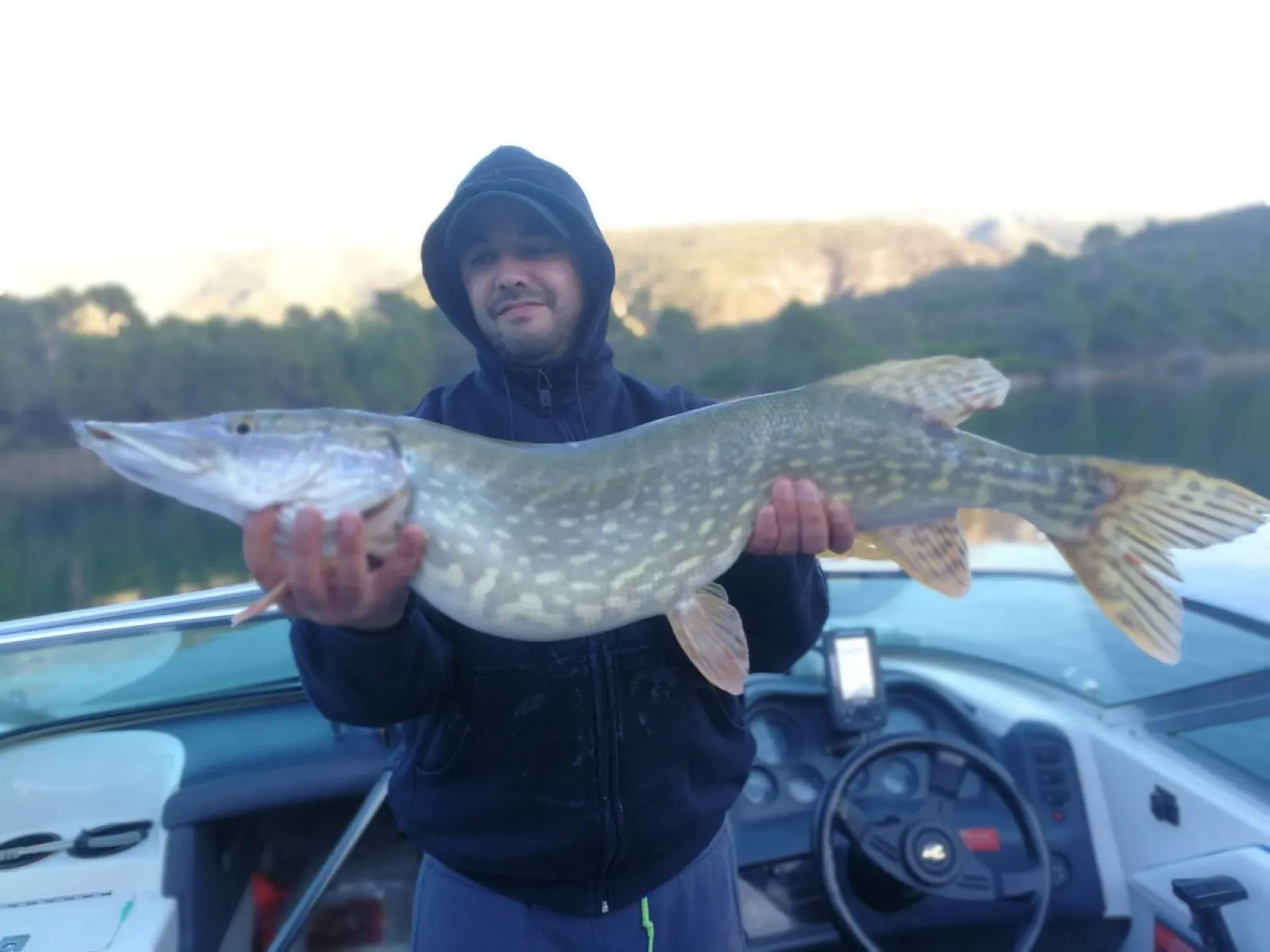 Post image from aperez8411