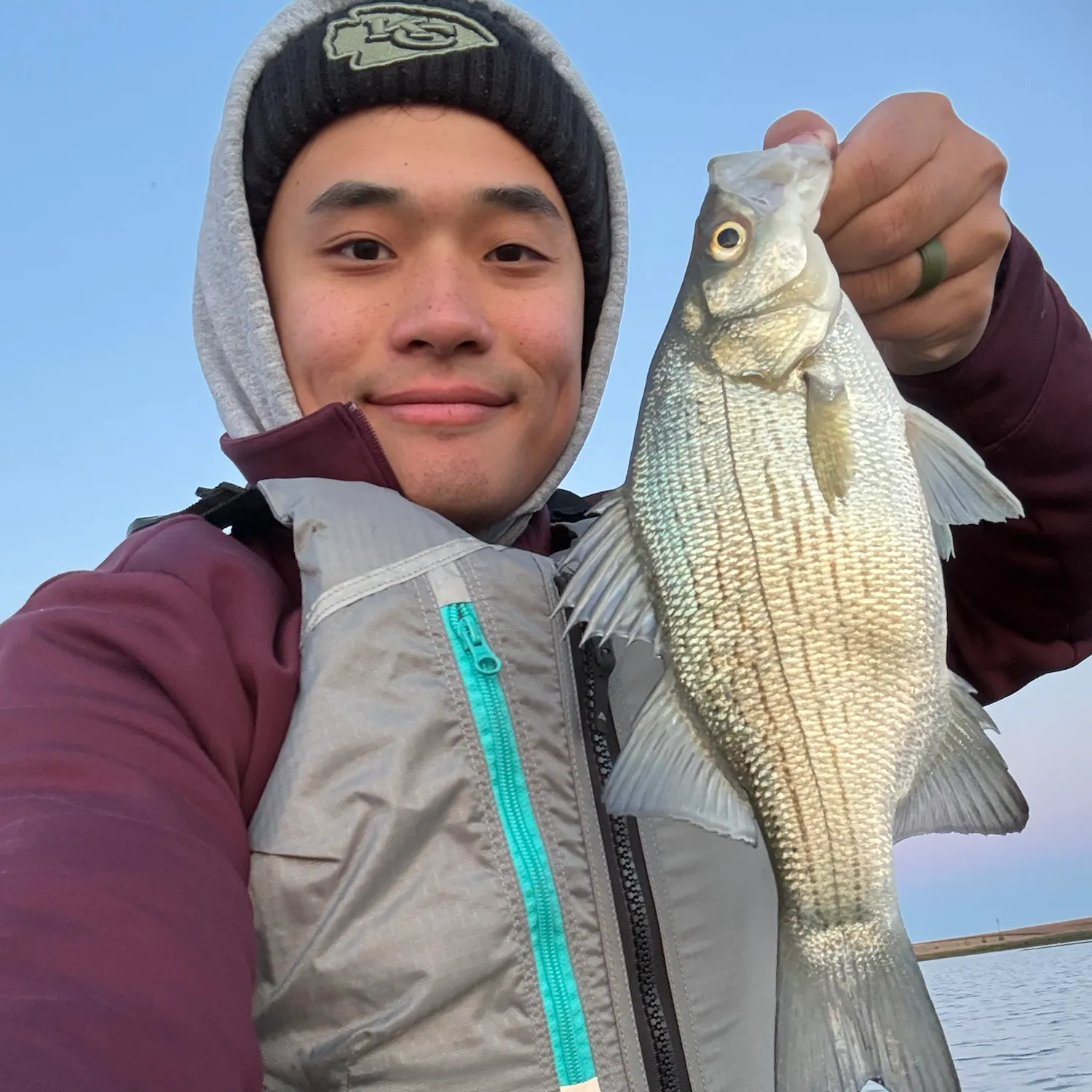 White bass caught on Fishbrain