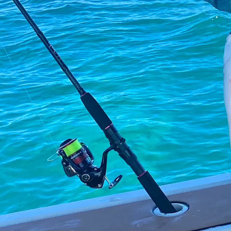The most recent Striped whiptail catches on Fishbrain