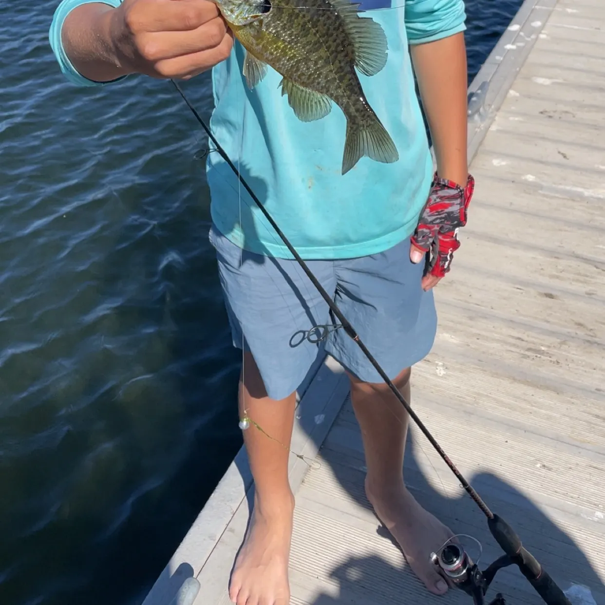 Bluegill caught on Fishbrain