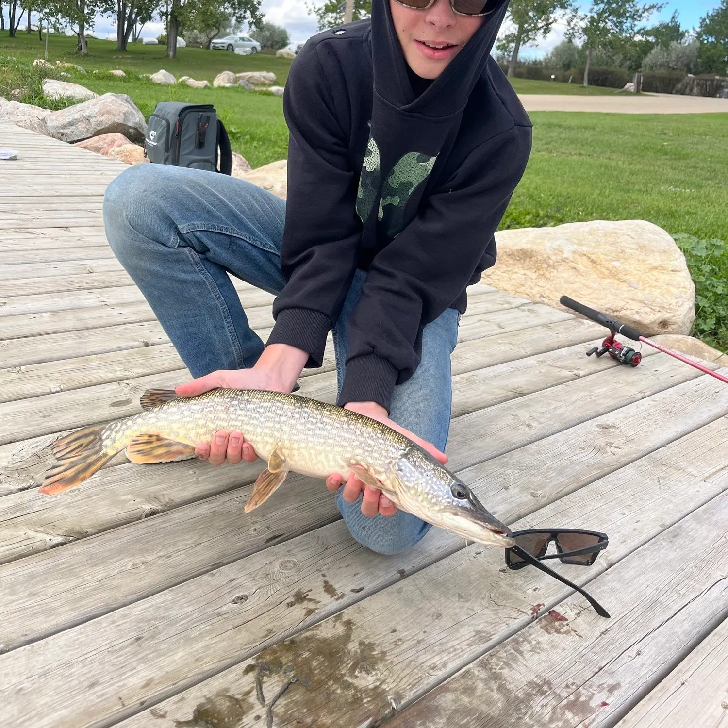 Northern pike caught on Fishbrain