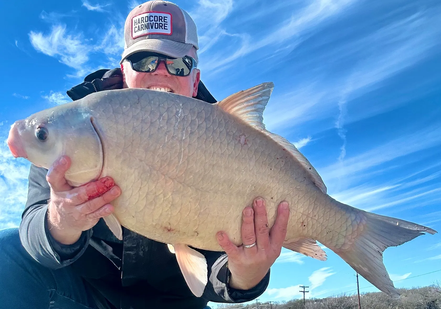 Smallmouth buffalo