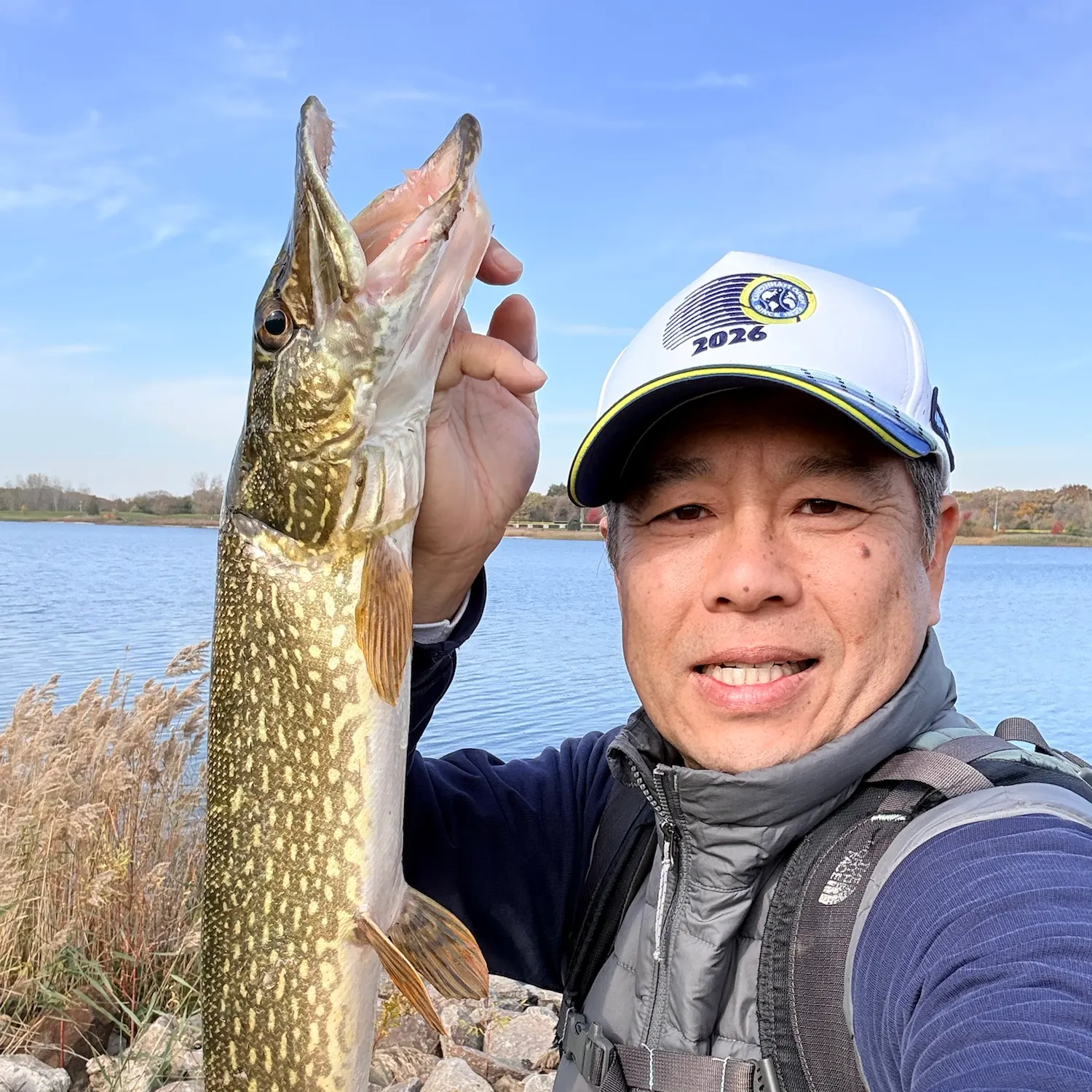 Northern pike caught on Fishbrain