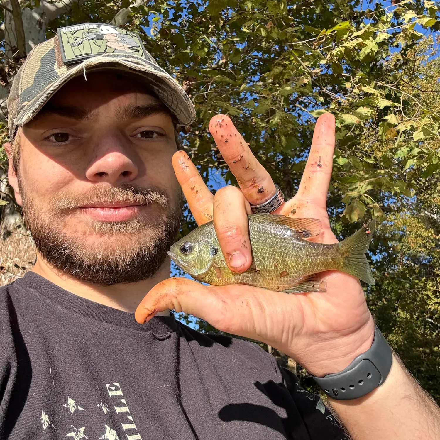 Bluegill caught on Fishbrain