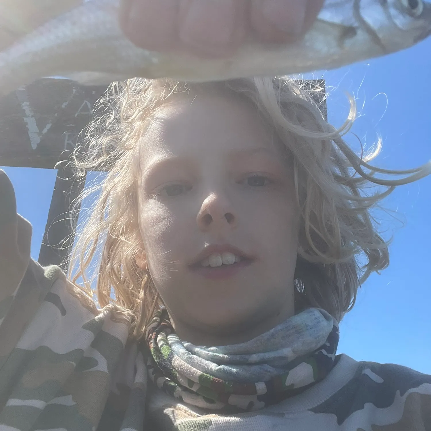 The most recent Common bleak catches on Fishbrain