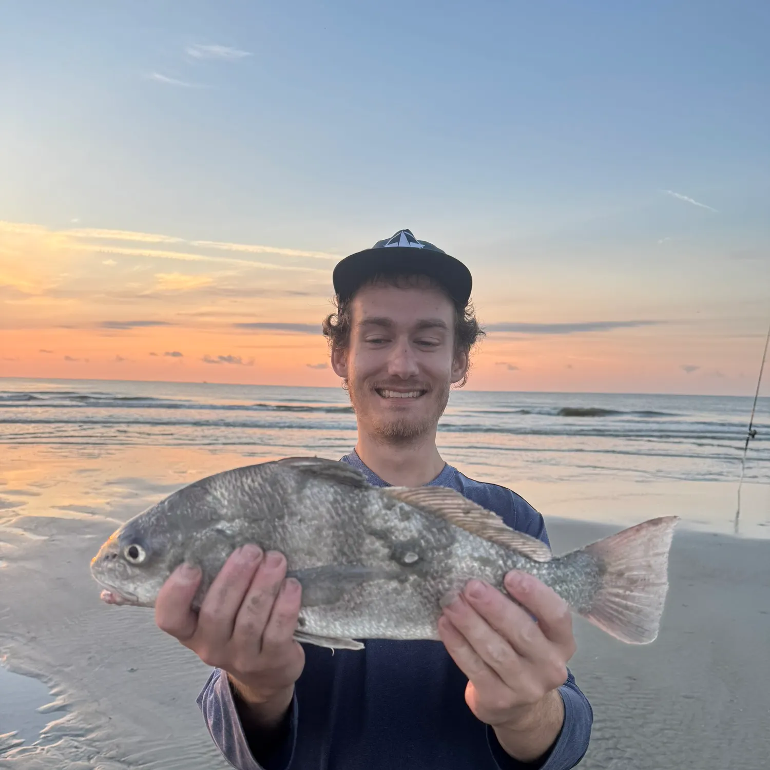 Black drum caught on Fishbrain