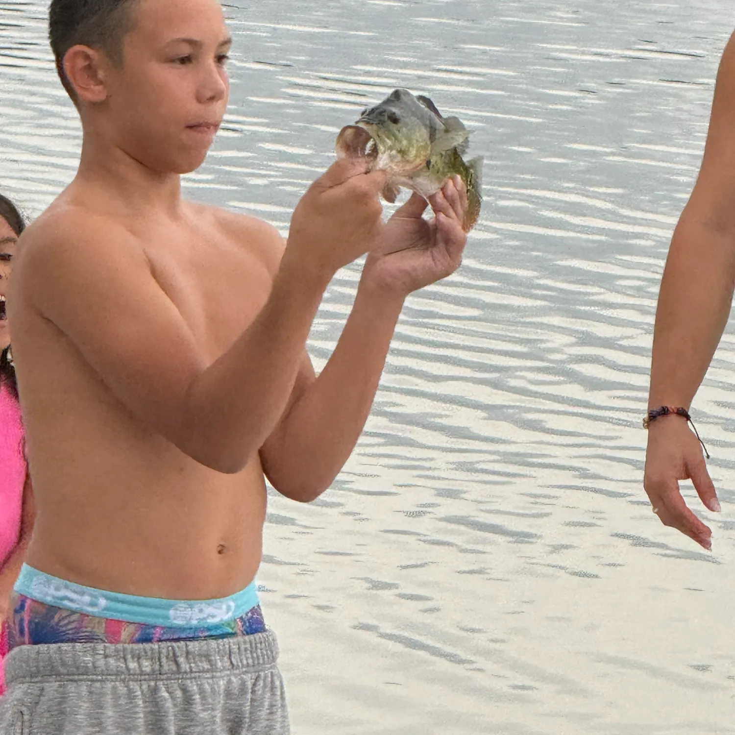 Nurse shark caught on Fishbrain
