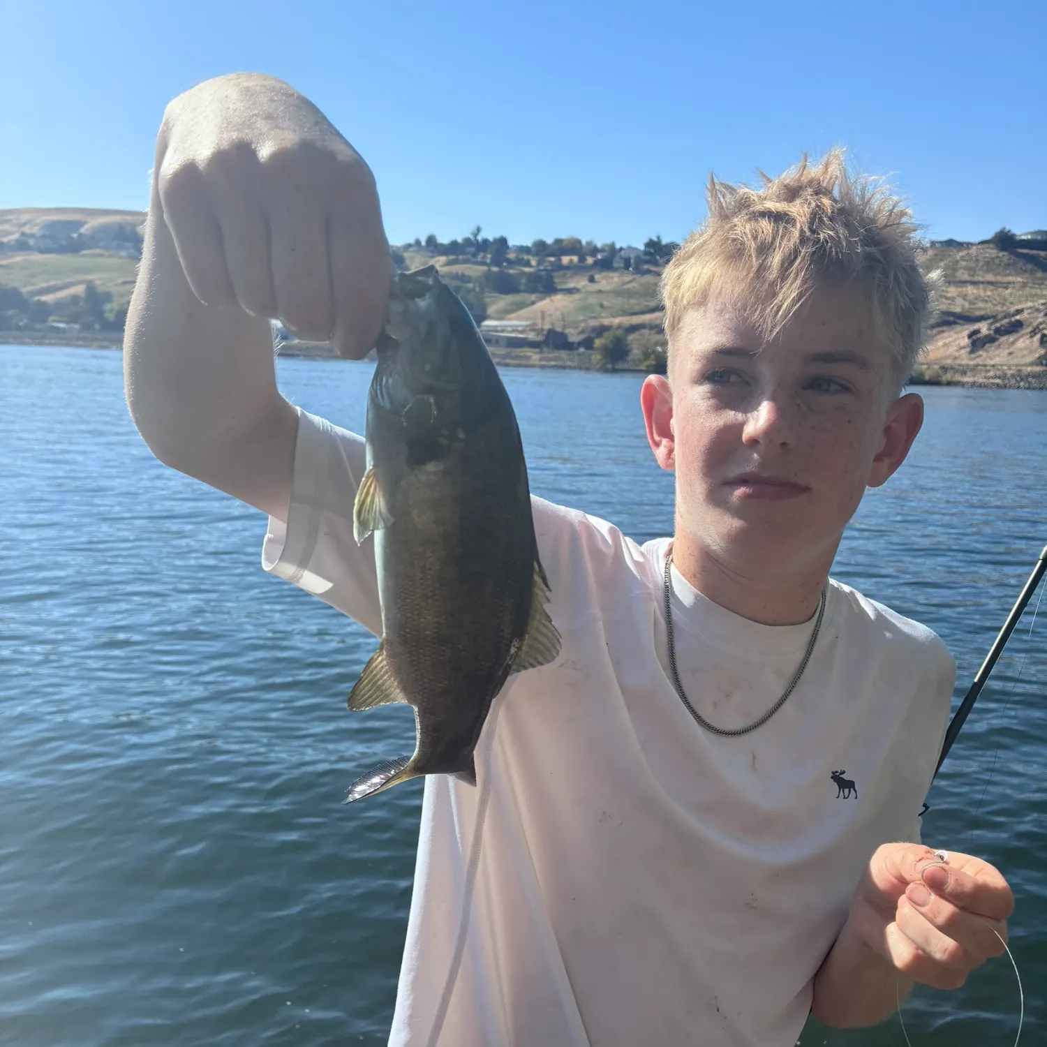 Smallmouth bass caught on Fishbrain