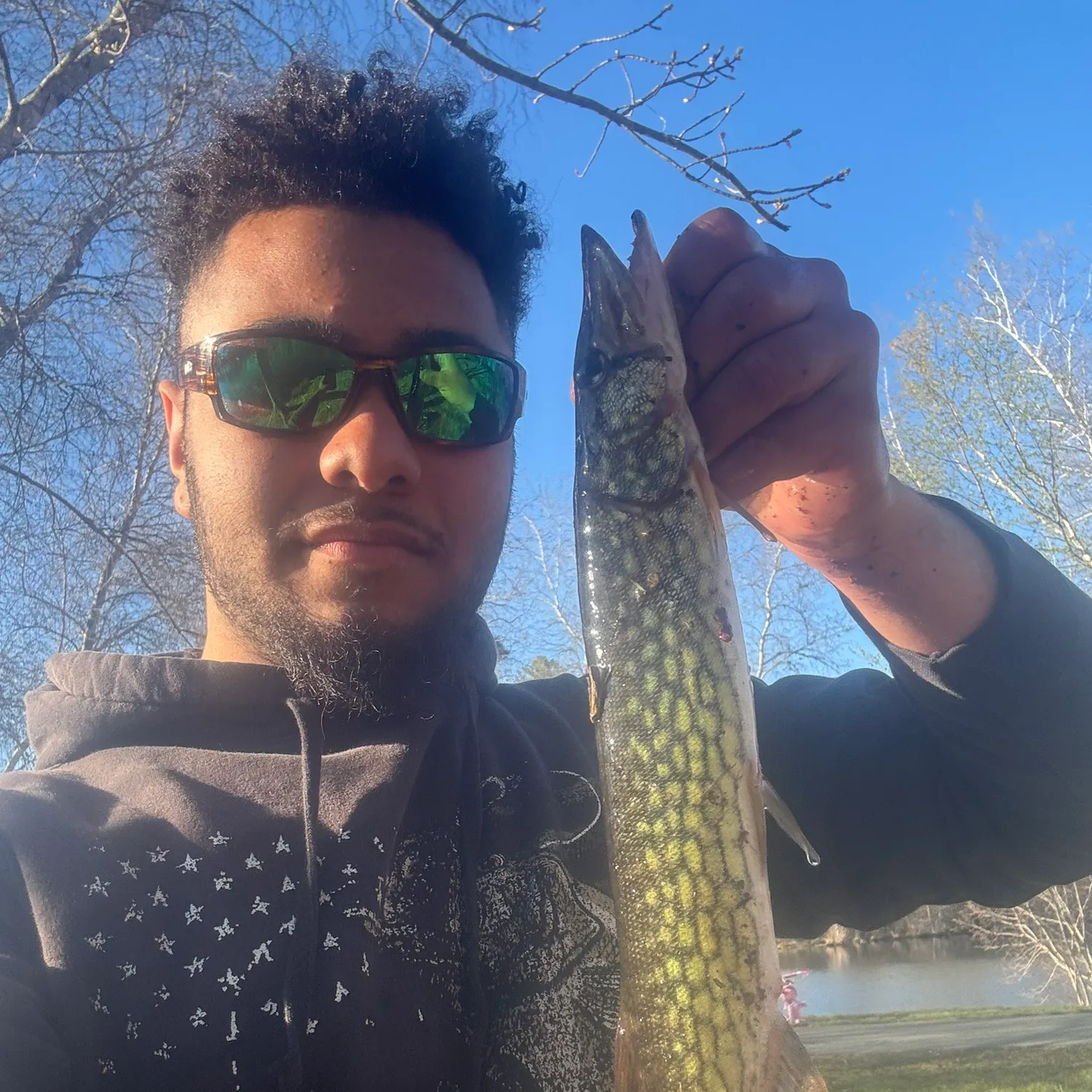 The most recent Chain pickerel catches on Fishbrain