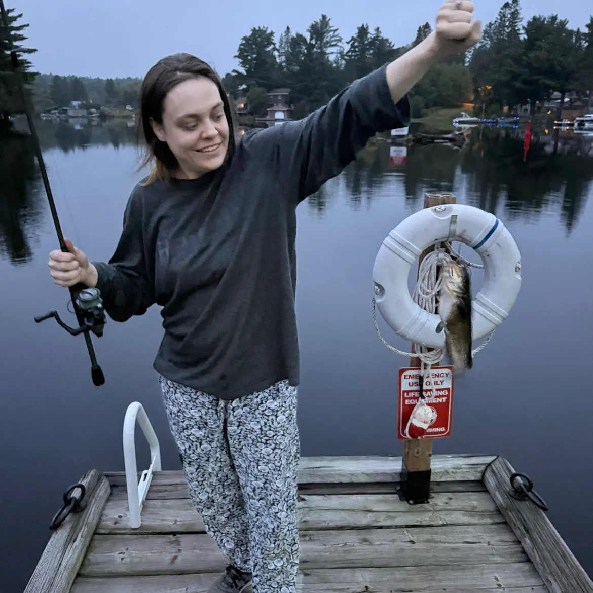 Brown bullhead caught on Fishbrain