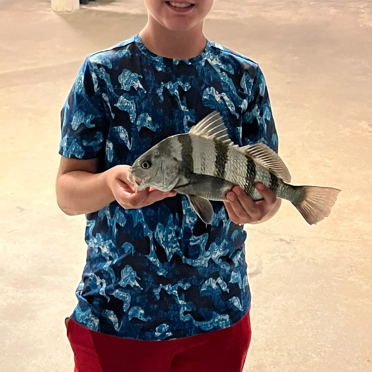 Black drum caught on Fishbrain