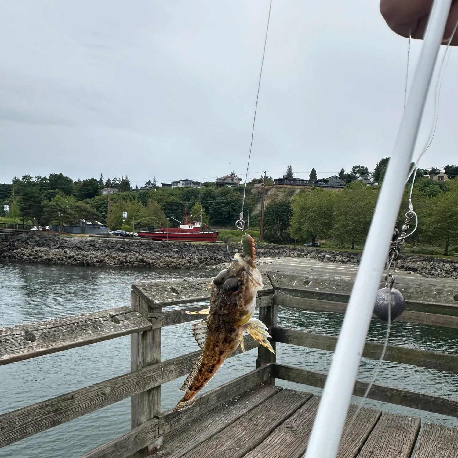 catch