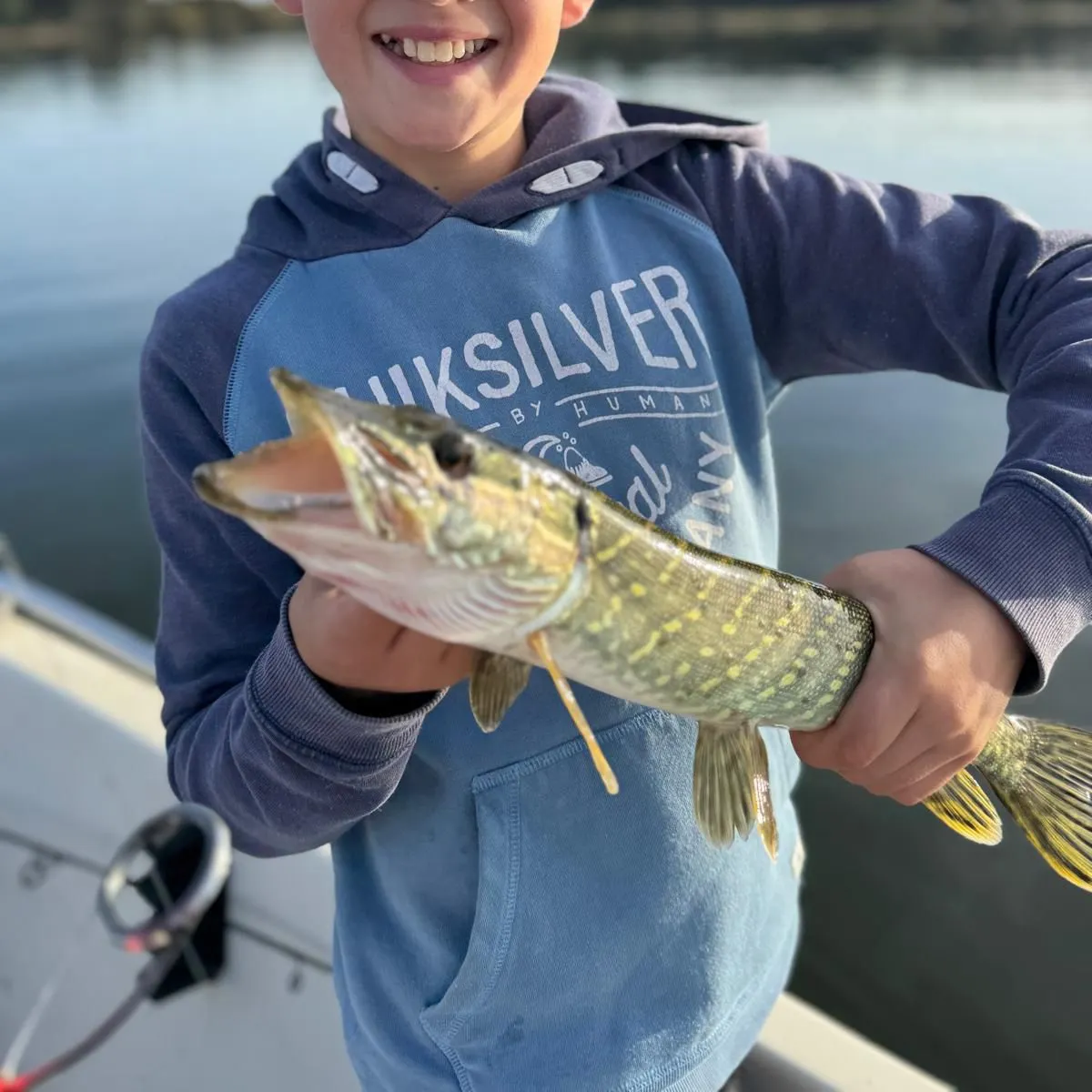 Northern pike caught on Fishbrain