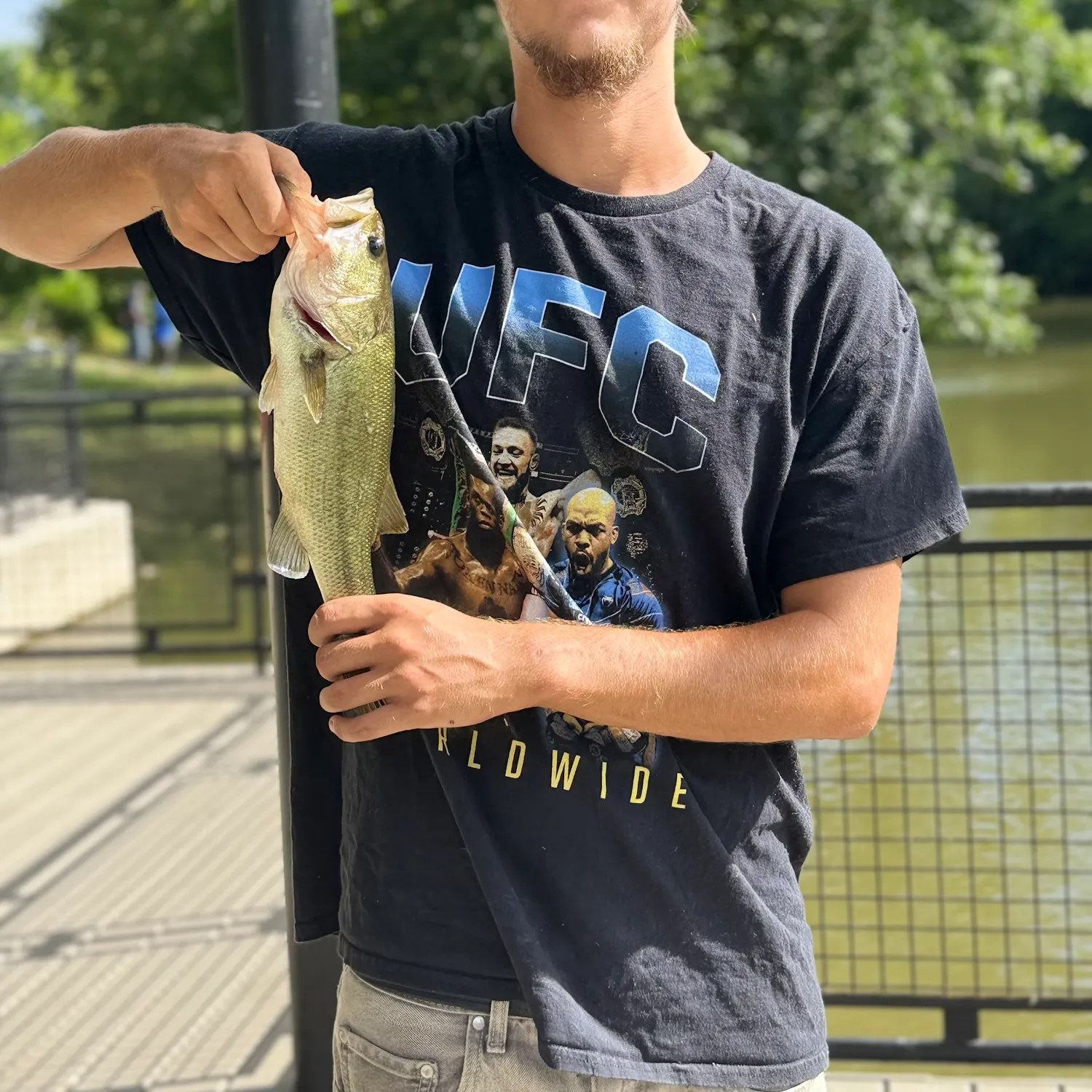 The most recent Largemouth bass catches on Fishbrain