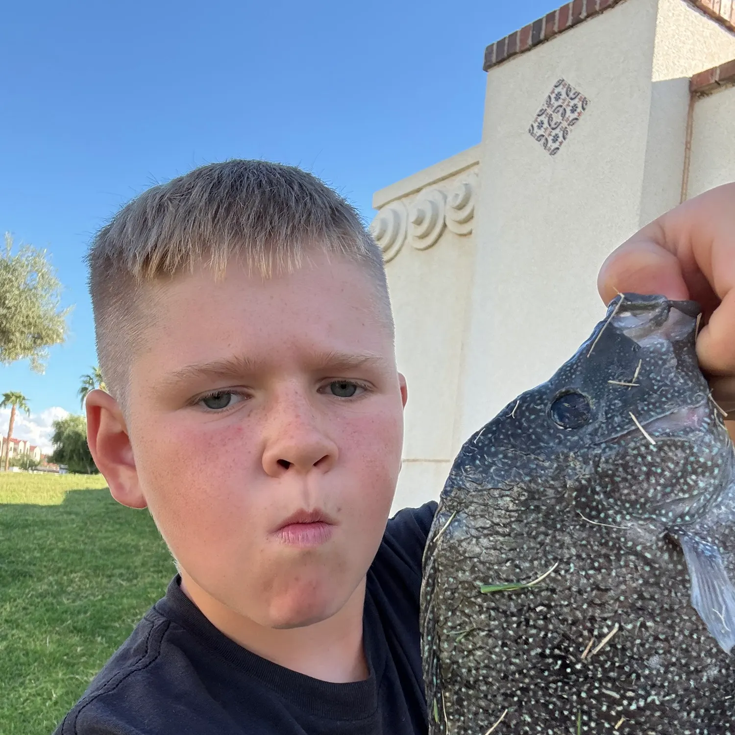 The most recent Rio Grande cichlid catches on Fishbrain