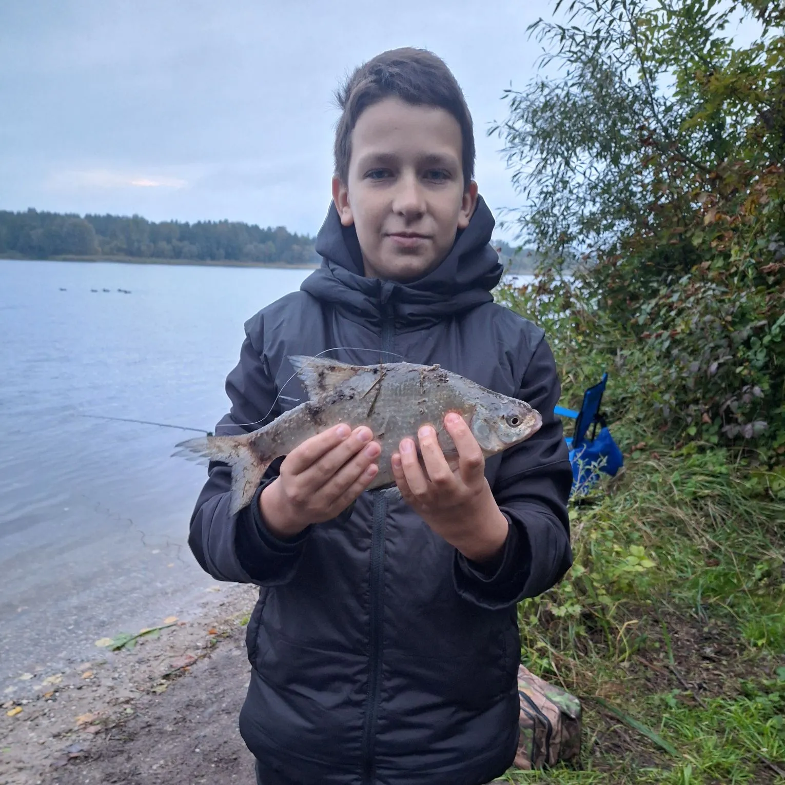 Common bream caught on Fishbrain