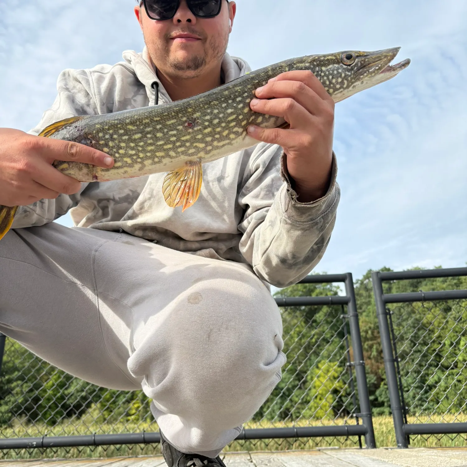 Northern pike caught on Fishbrain