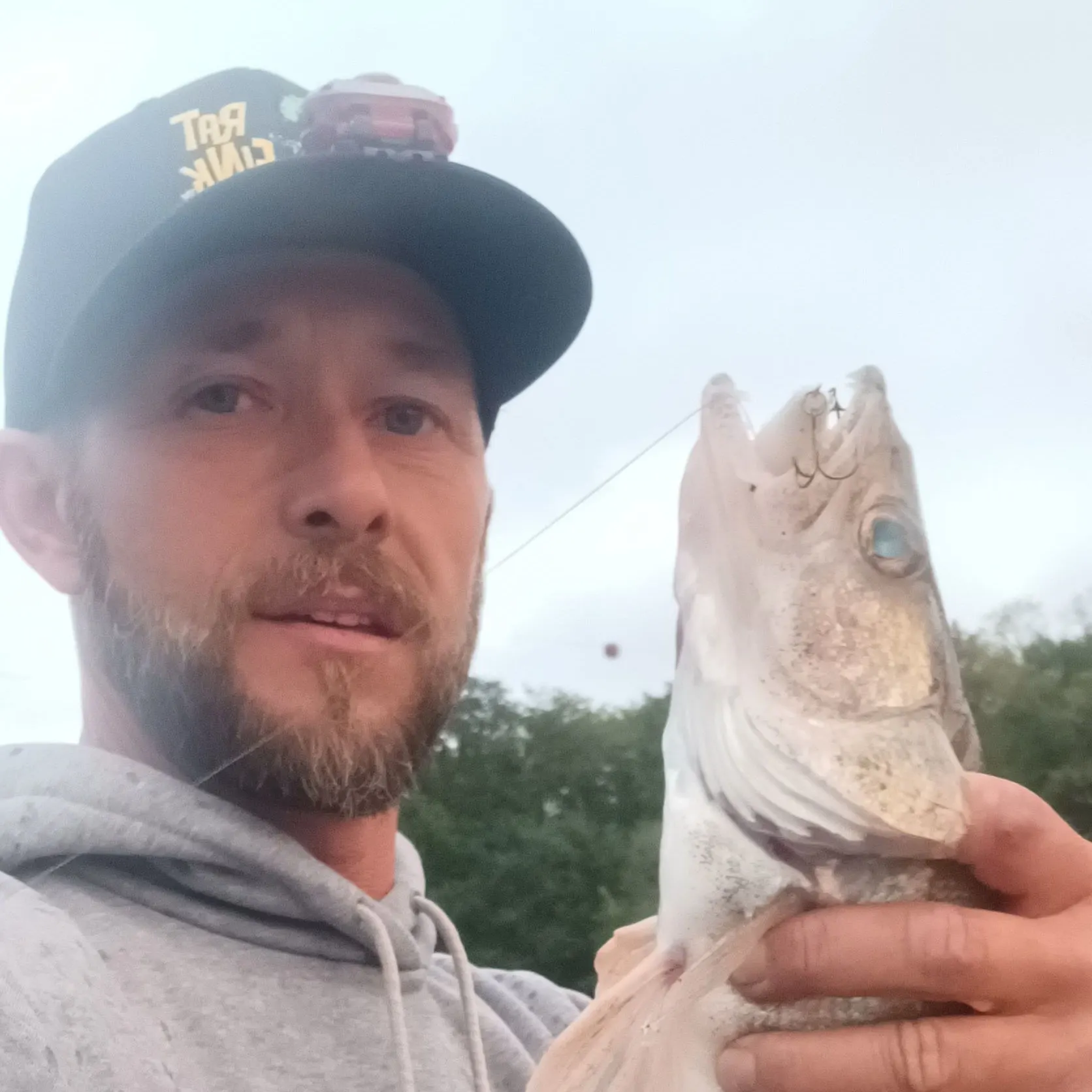 Walleye caught on Fishbrain