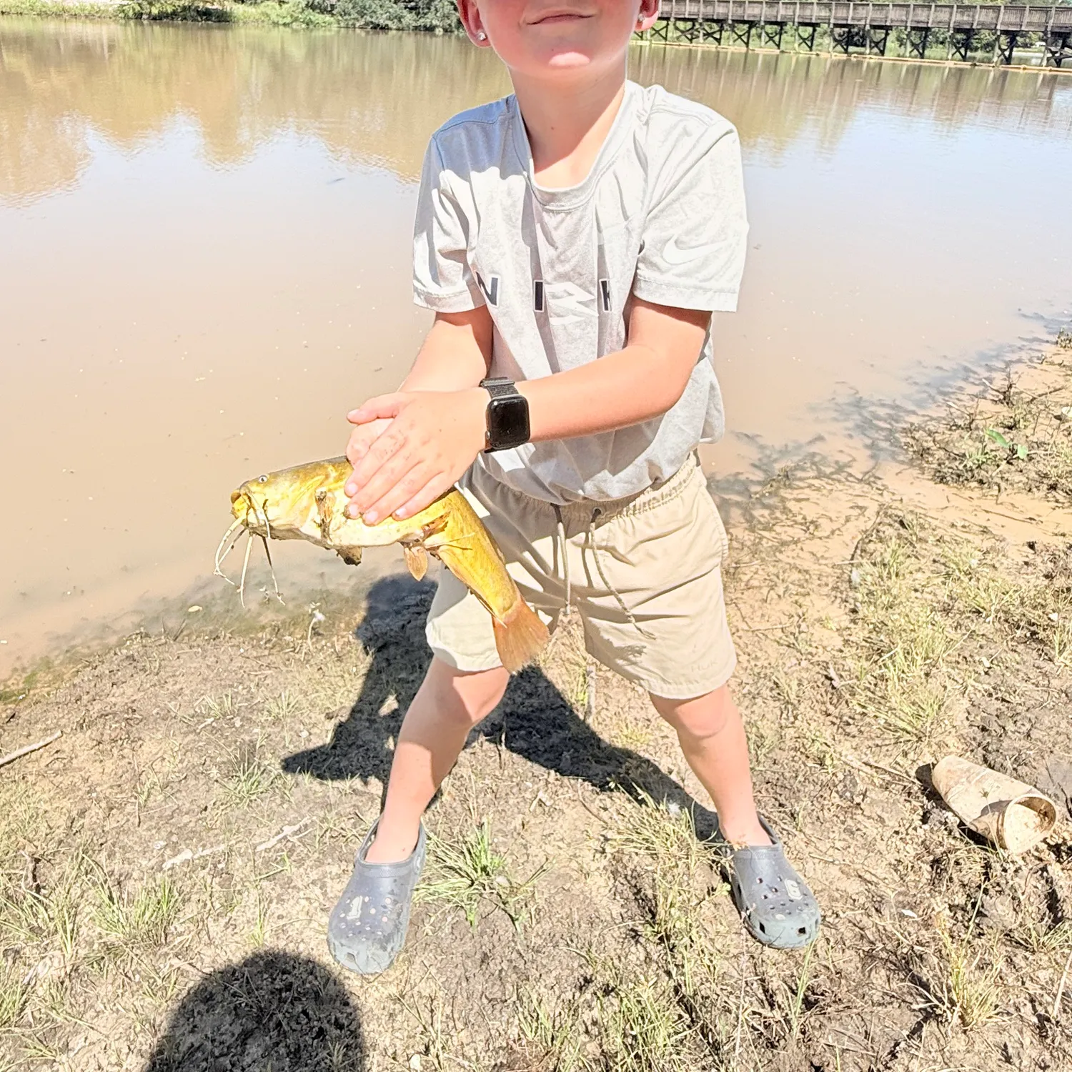 Flathead catfish caught on Fishbrain