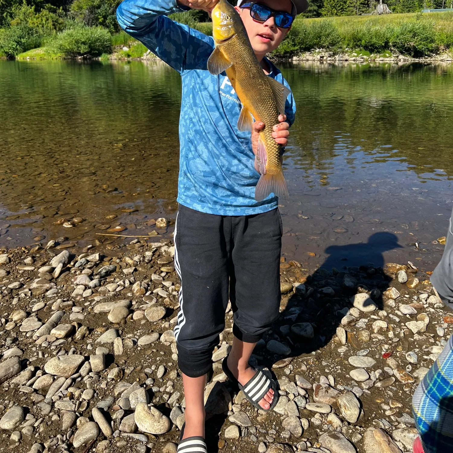 The most recent Northern hogsucker catches on Fishbrain