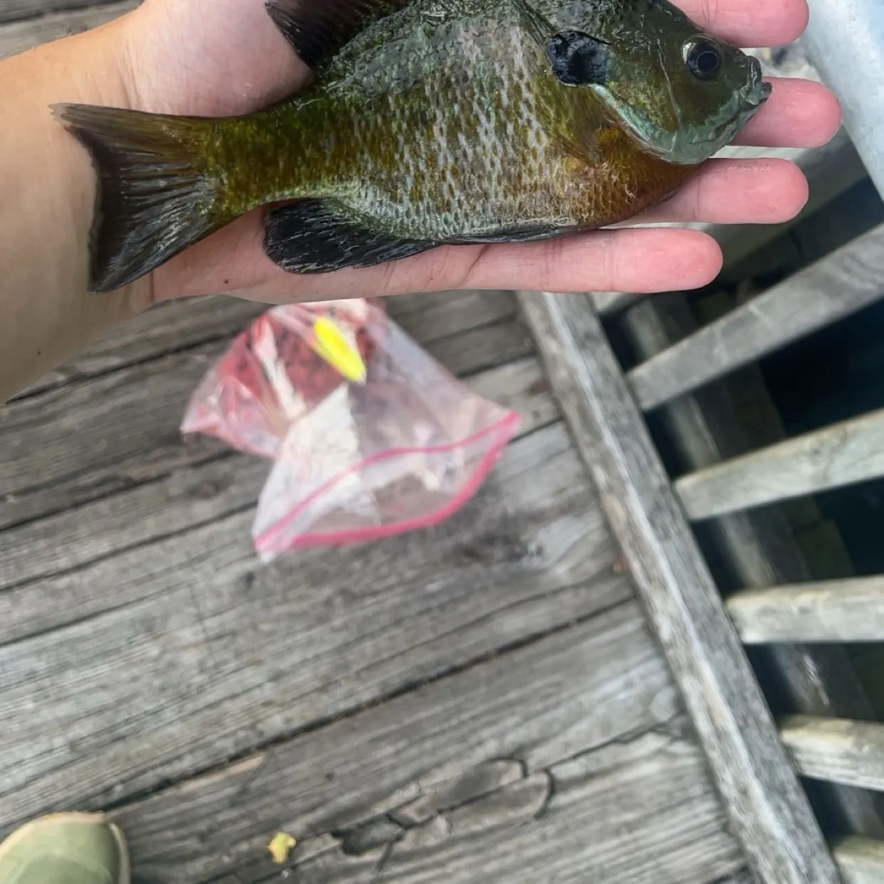 catch
