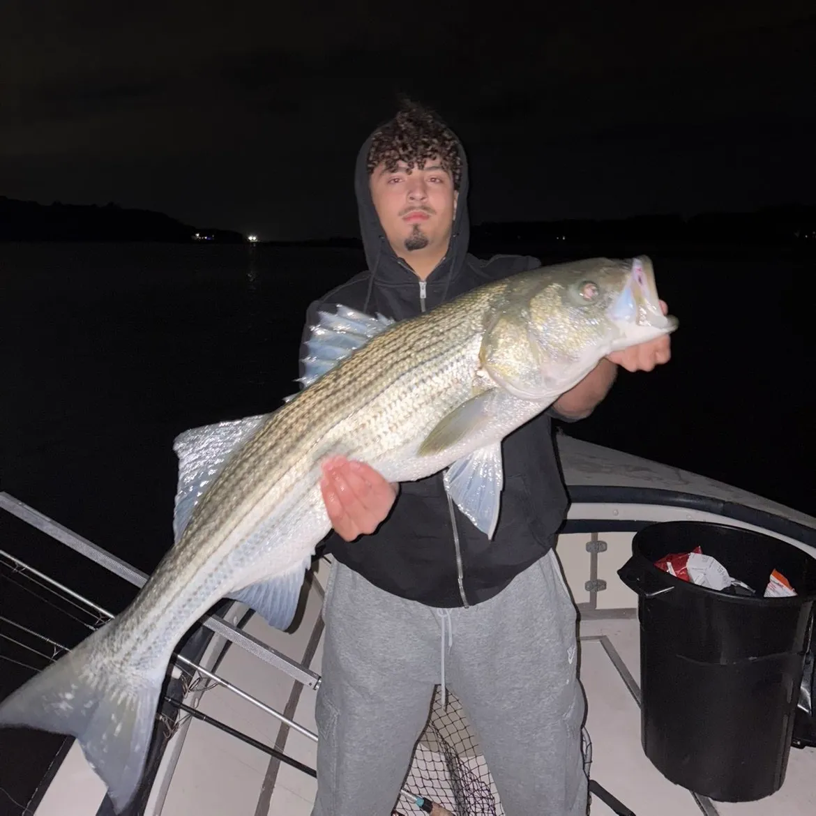 Striped bass caught on Fishbrain