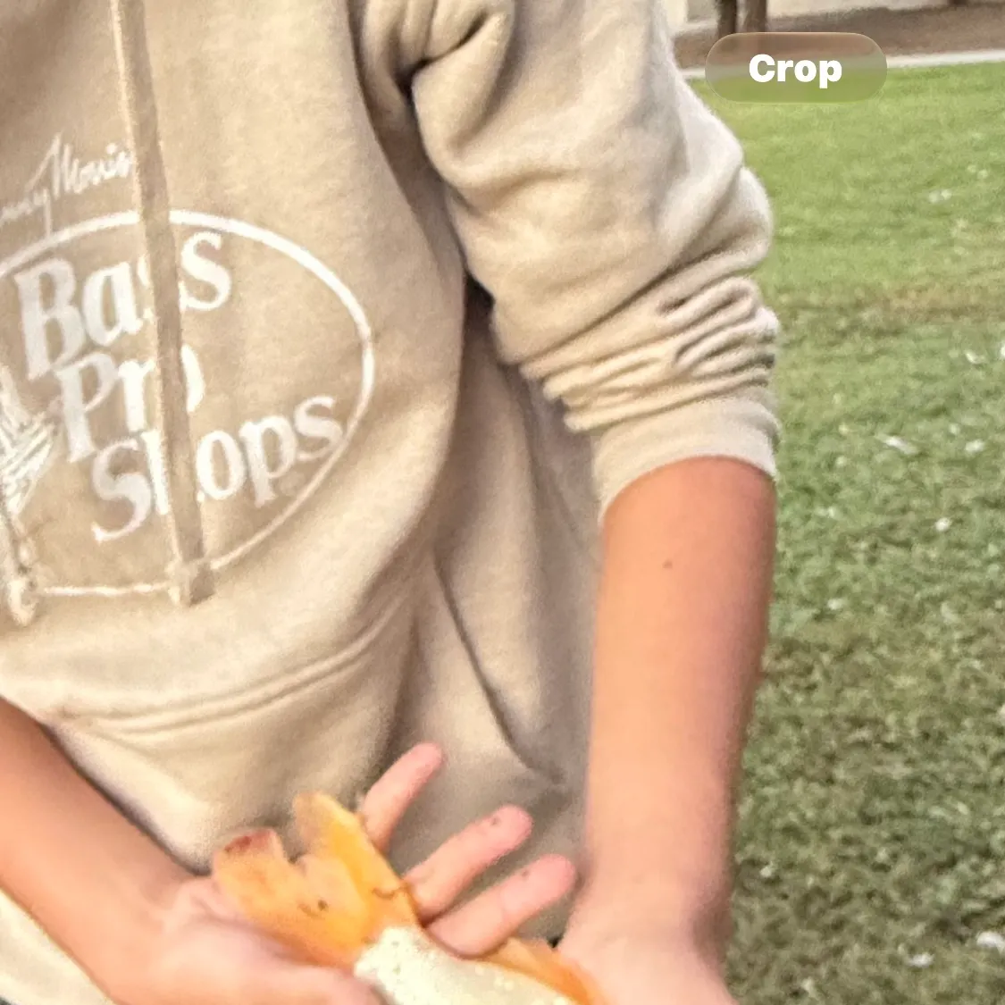 Koi carp caught on Fishbrain