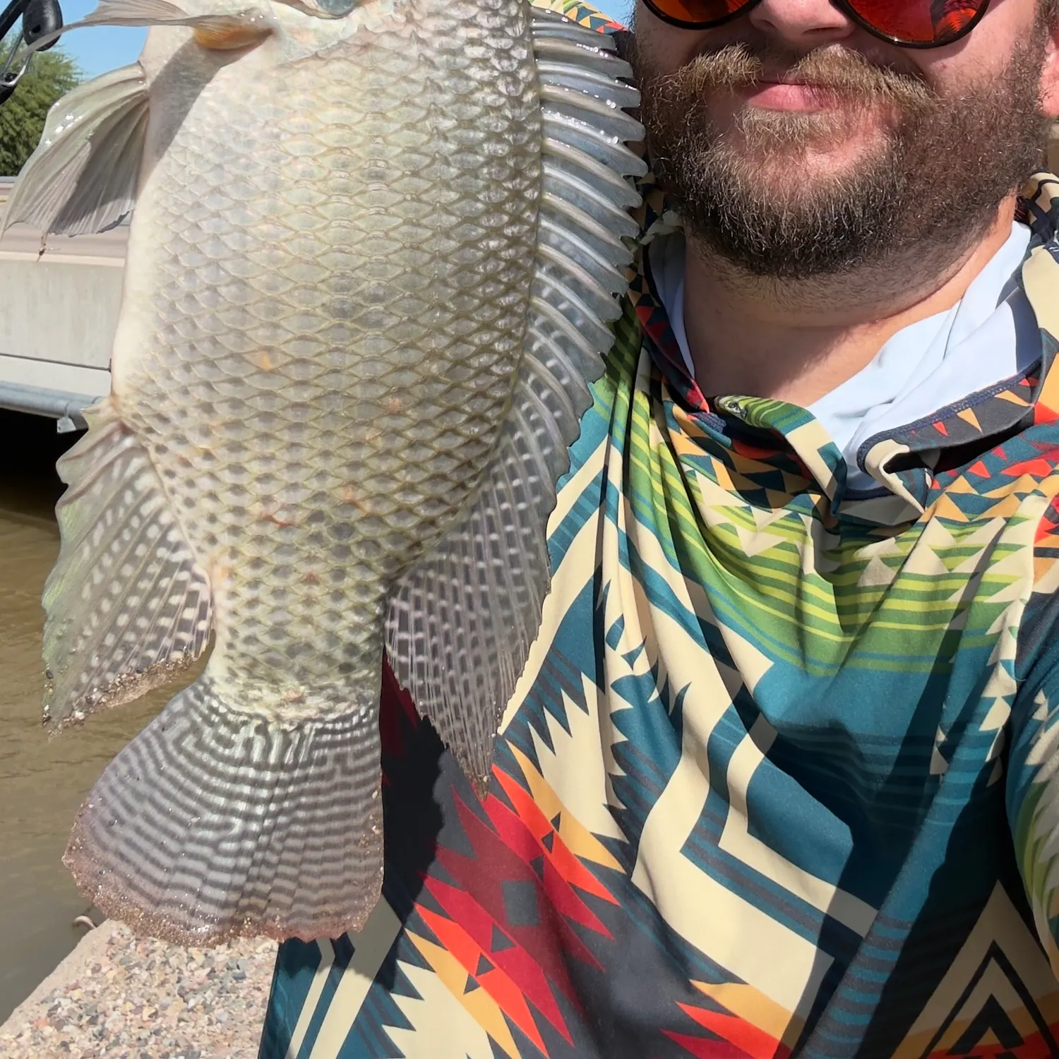 Nile tilapia caught on Fishbrain