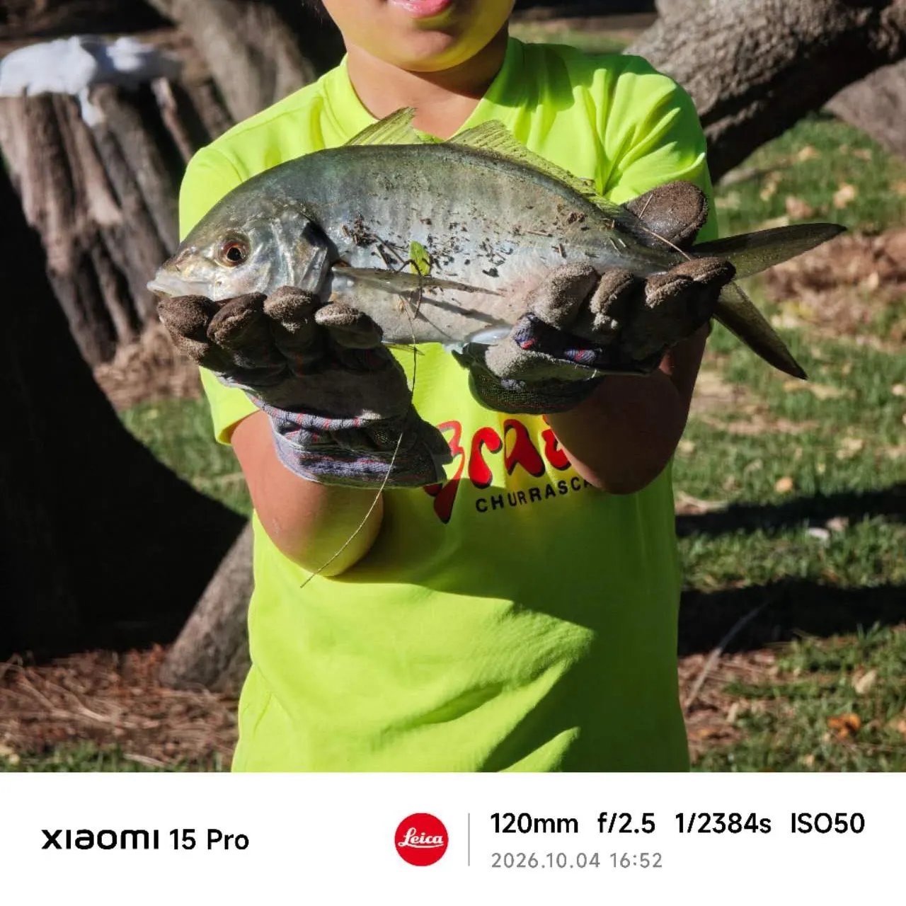 White trevally caught on Fishbrain