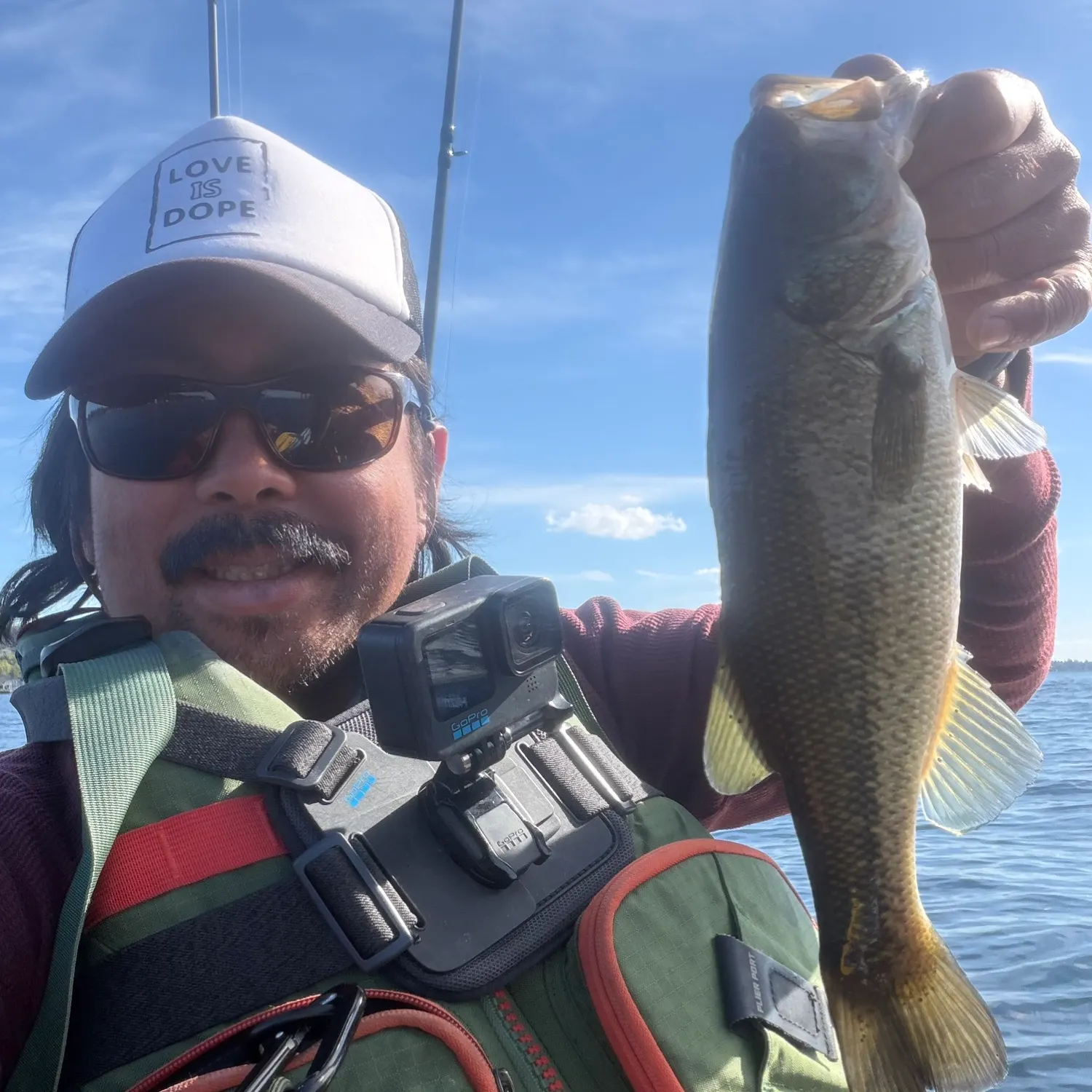 Largemouth bass caught on Fishbrain