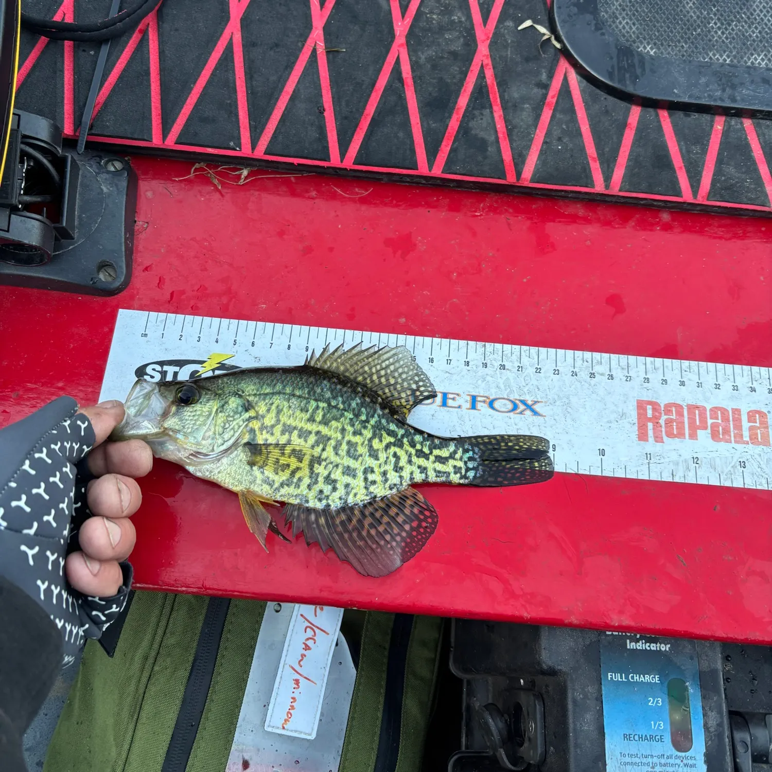 catch