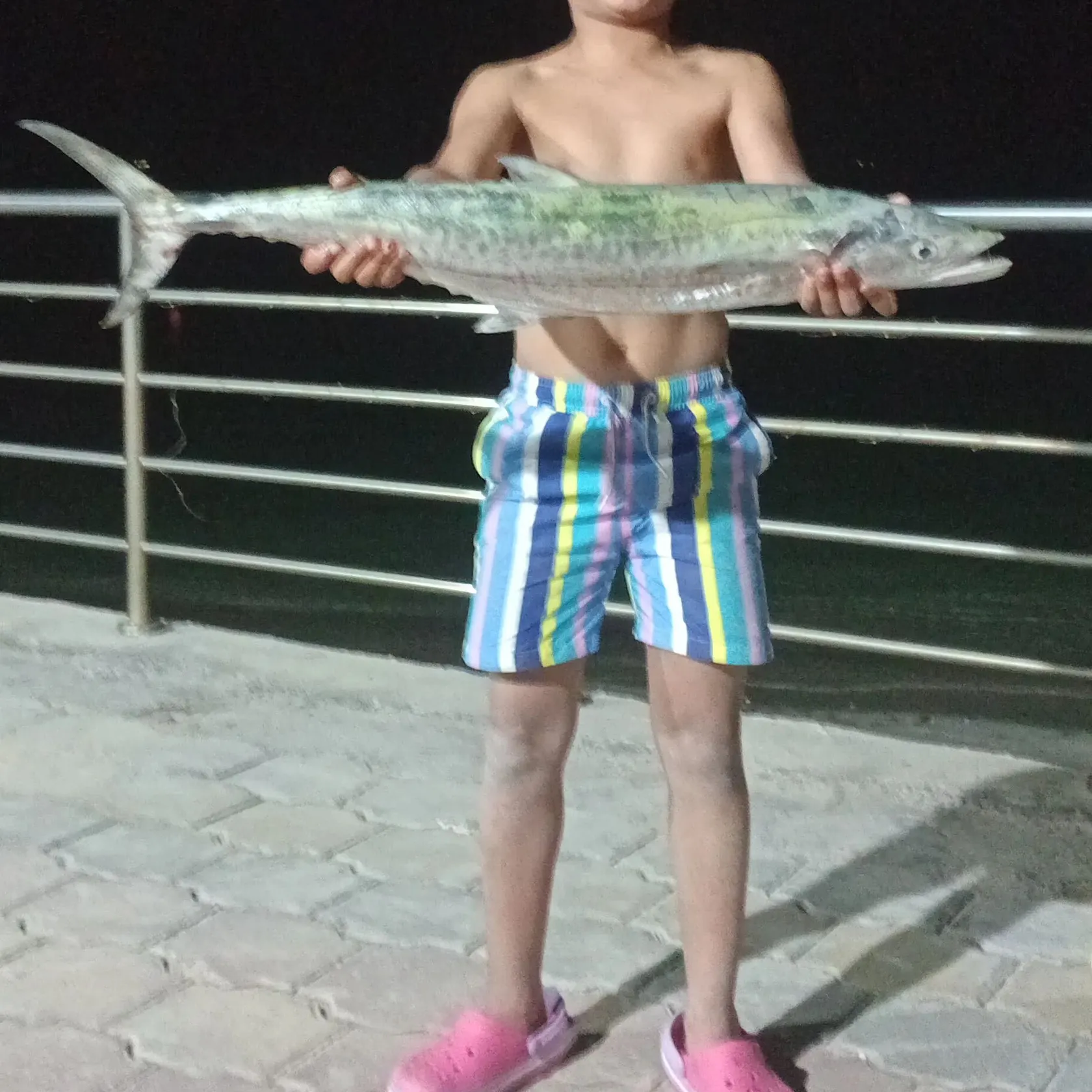 The most recent King mackerel catches on Fishbrain