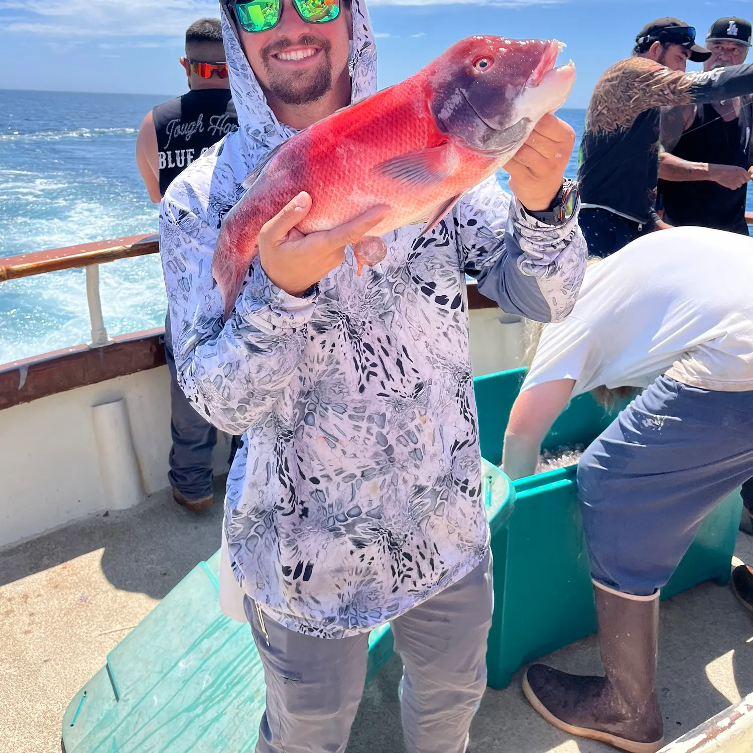 The most recent California sheephead catches on Fishbrain