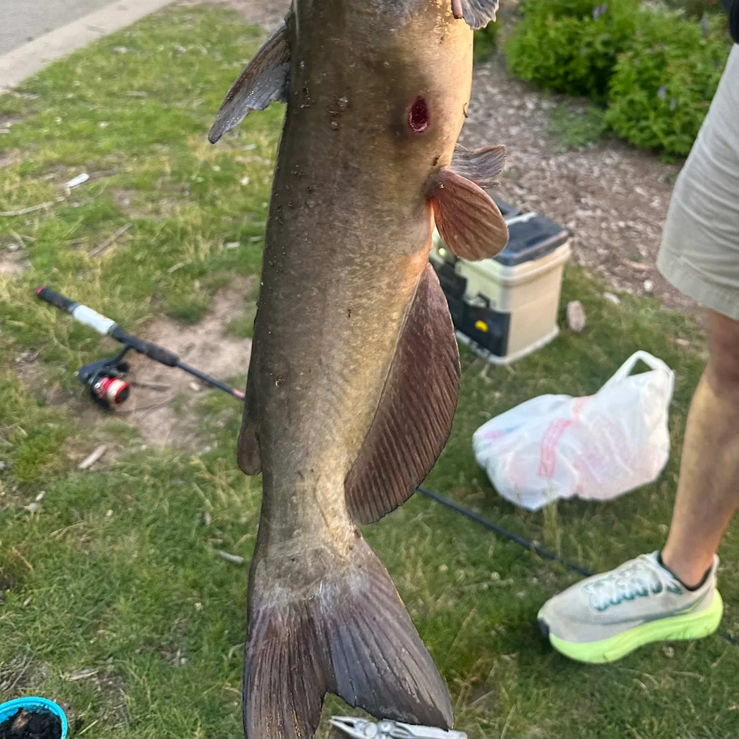 catch