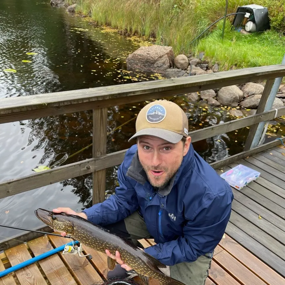 Northern pike caught on Fishbrain