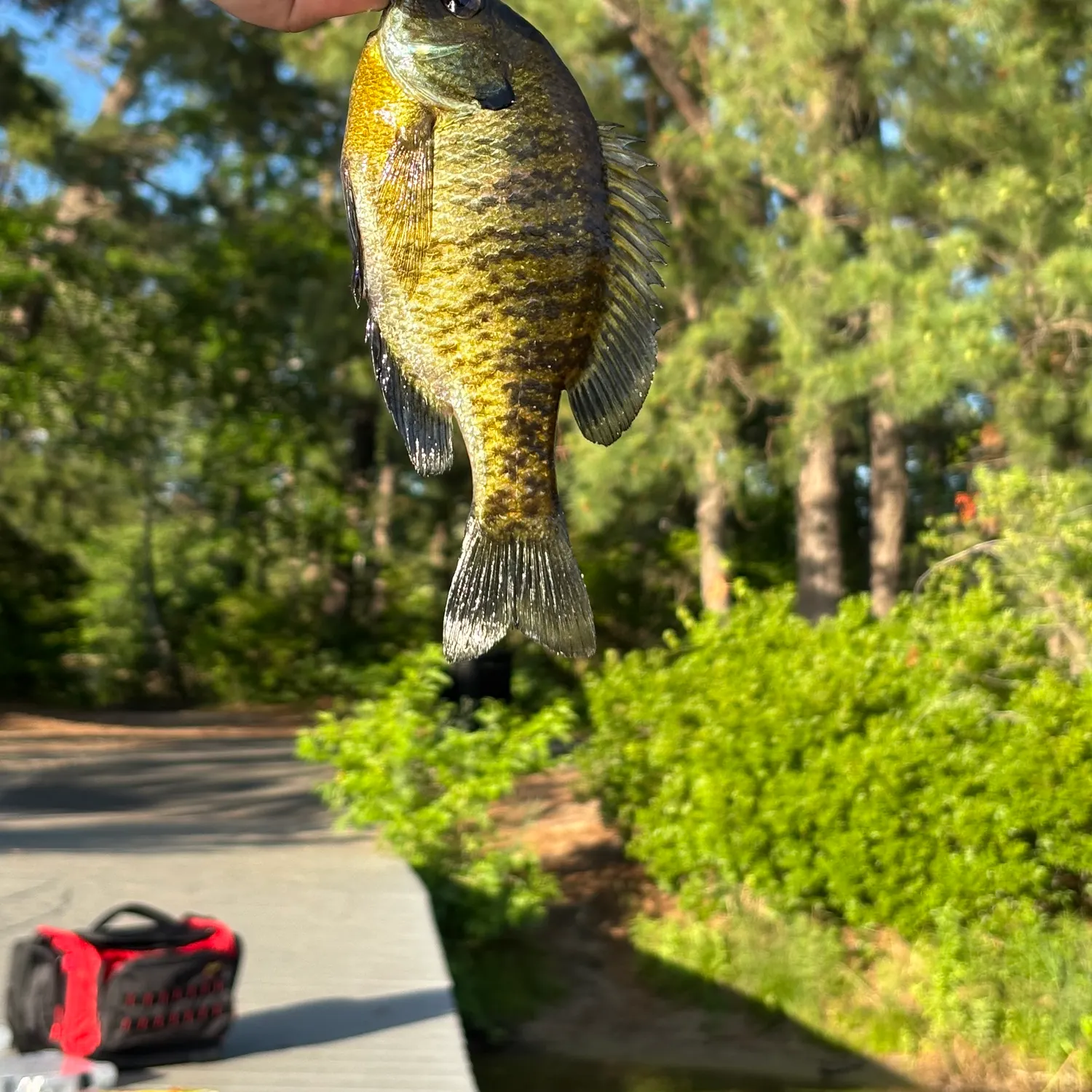 catch