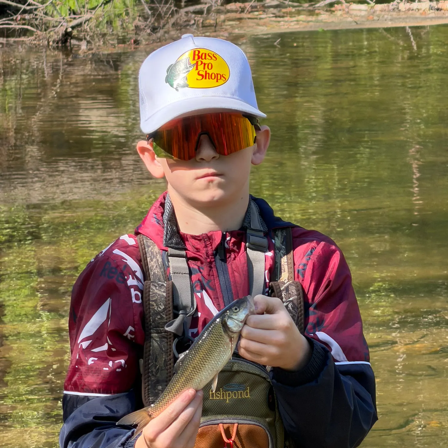 The most recent Hornyhead chub catches on Fishbrain