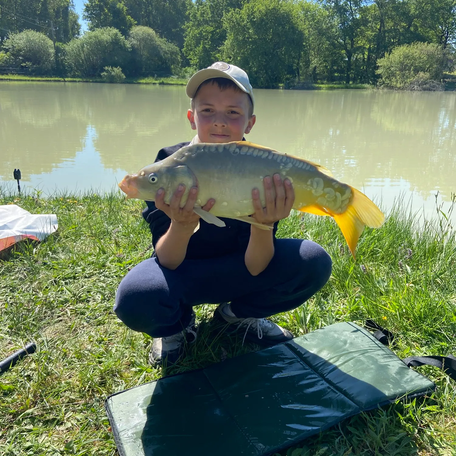 Mirror carp caught on Fishbrain
