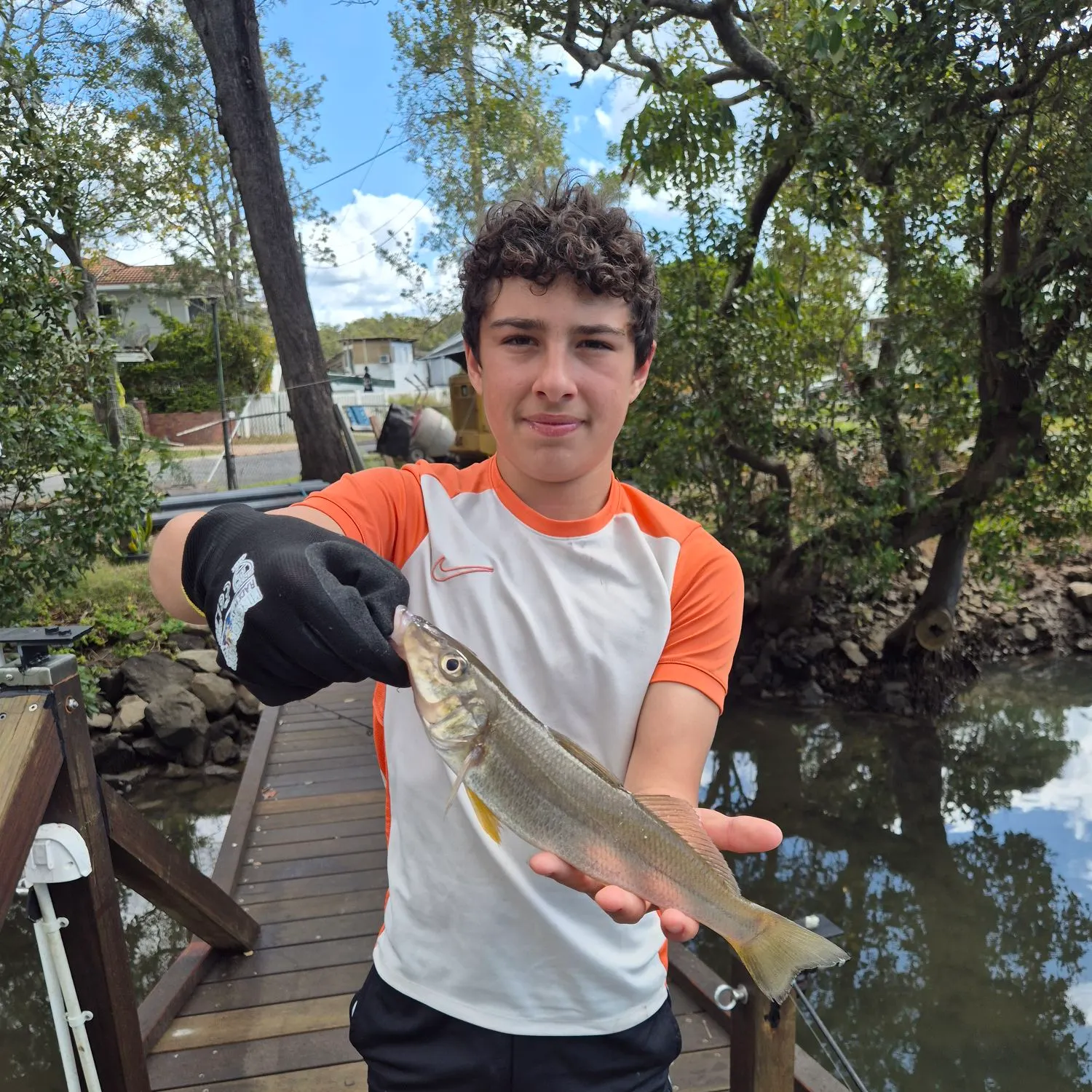 Sand sillago caught on Fishbrain