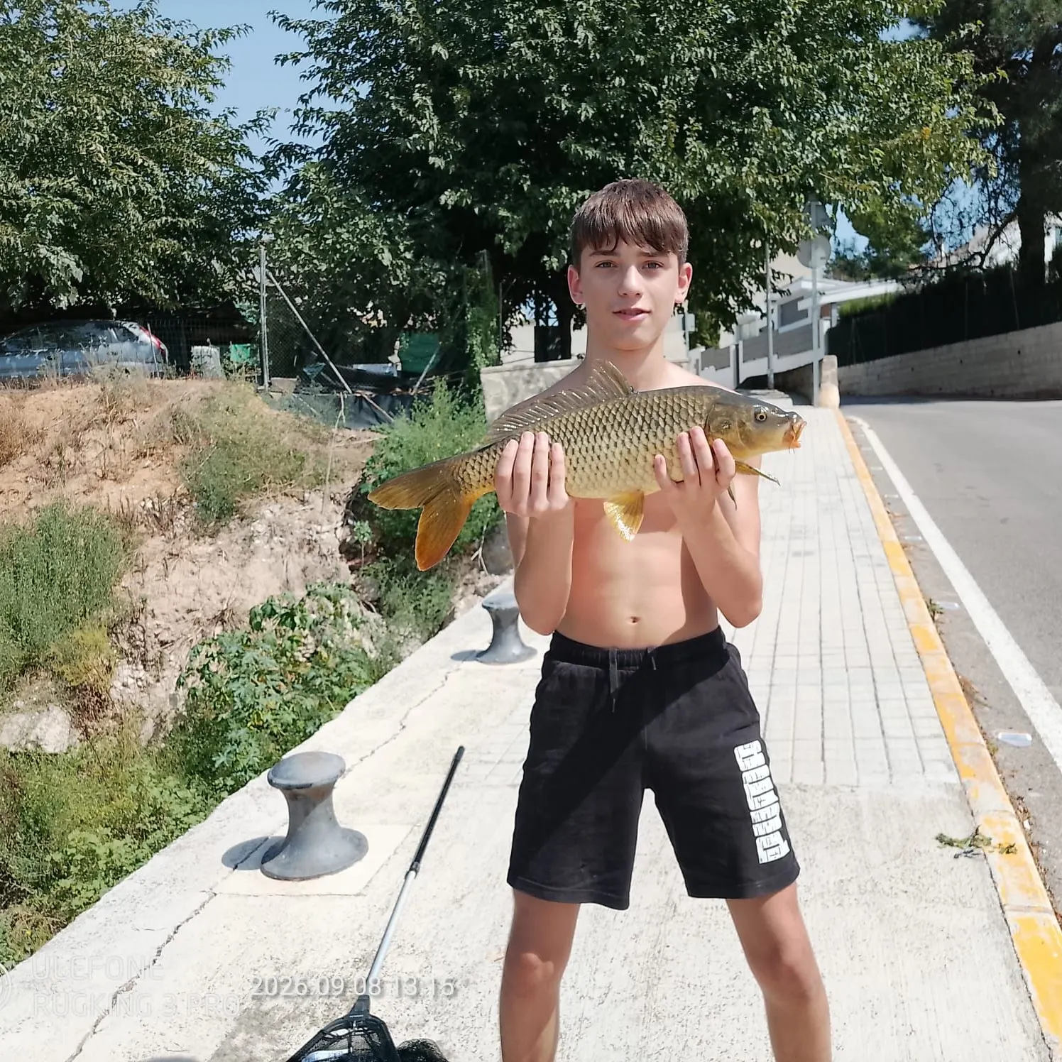 Common carp caught on Fishbrain