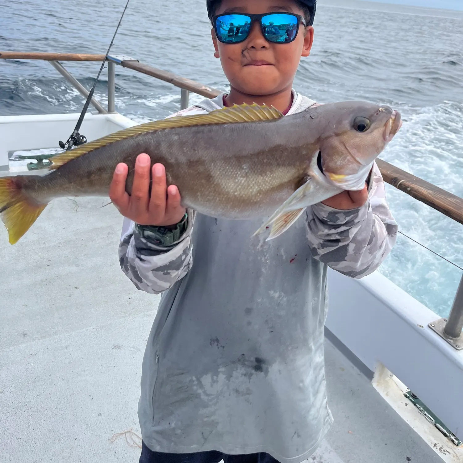 The most recent Ocean whitefish catches on Fishbrain