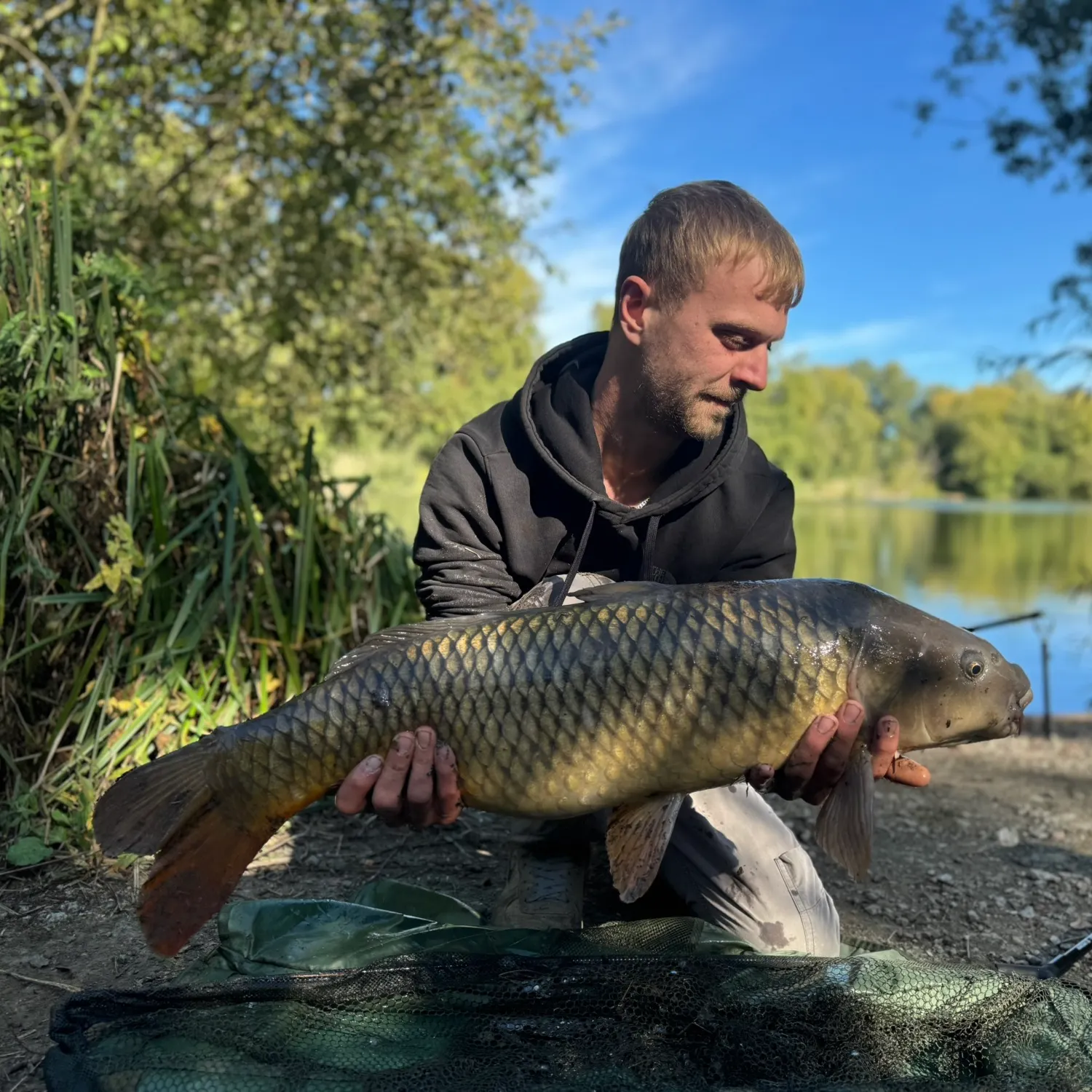 Common carp caught on Fishbrain