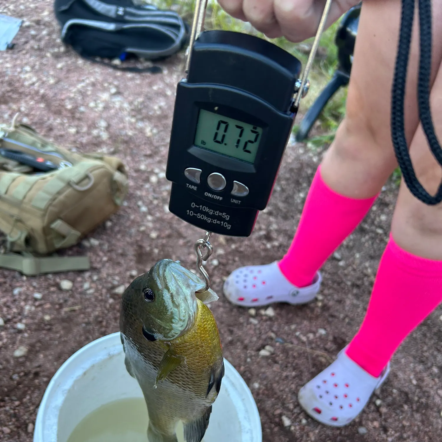 Bluegill caught on Fishbrain
